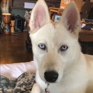 Meet your Posher, Brittany